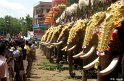 thrissur-pooram-2010 (66)